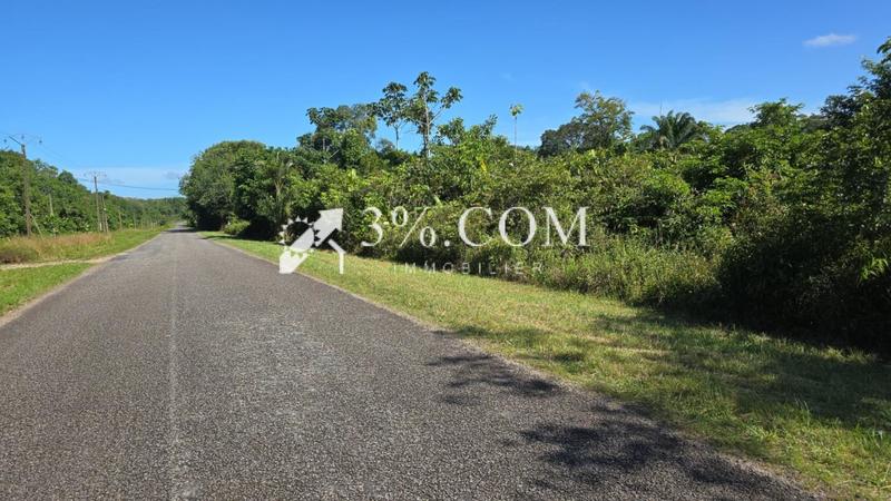 Terrain agricole - 4 687 m²