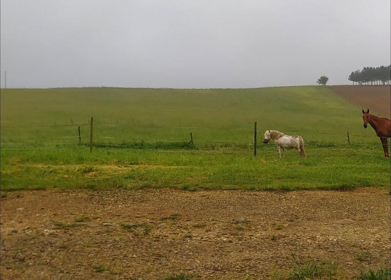 Maison - 1 m² - 1 pièce