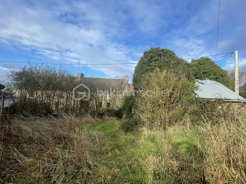 Maison en pierre - 56 m² - 3 pièces