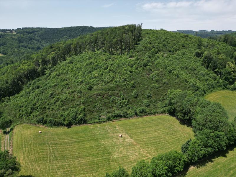 Terrain agricole - 71 100 m²