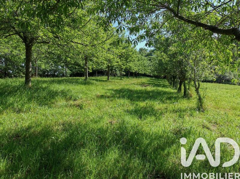 Terrain agricole - 15 000 m²