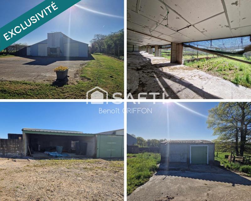 Local commercial - 4 290 m² - 9 pièces