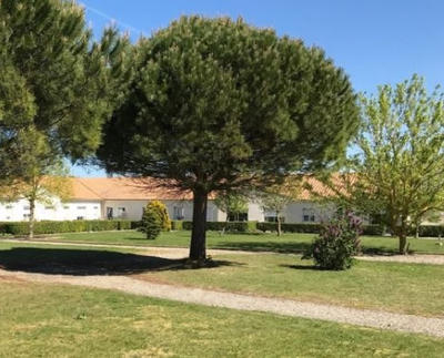 Appartement - 36 m² - 2 pièces