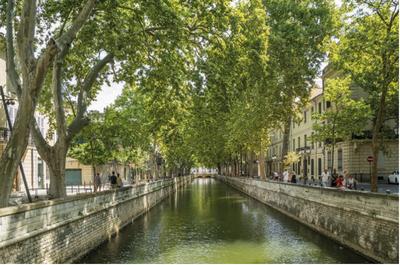 Appartement - 118 m² - 5 pièces