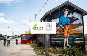 Local commercial - 234 m²