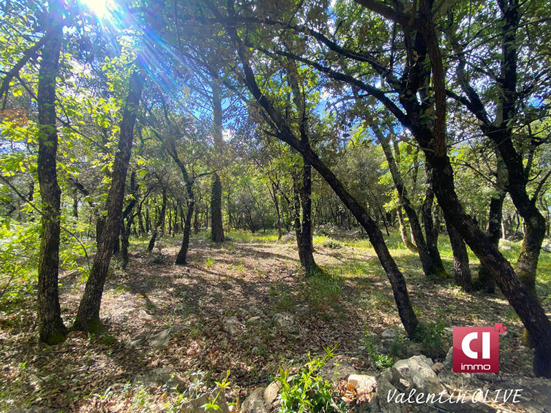 Maison - 185 m² - 7 pièces