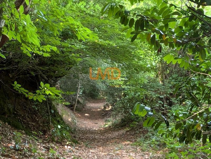 Maison en pierre - 60 m² - 2 pièces