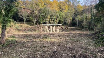Terrain constructible - 4 905 m²