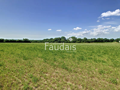 Terrain - 750 m²