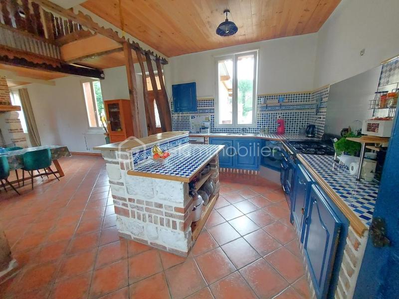 Maison de maîtres - 217 m² - 7 pièces