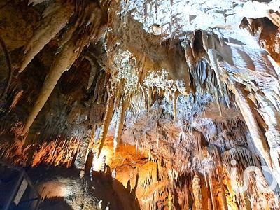 Maison - 200 m² - 10 pièces