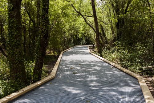 La Forêt du Bourgailh