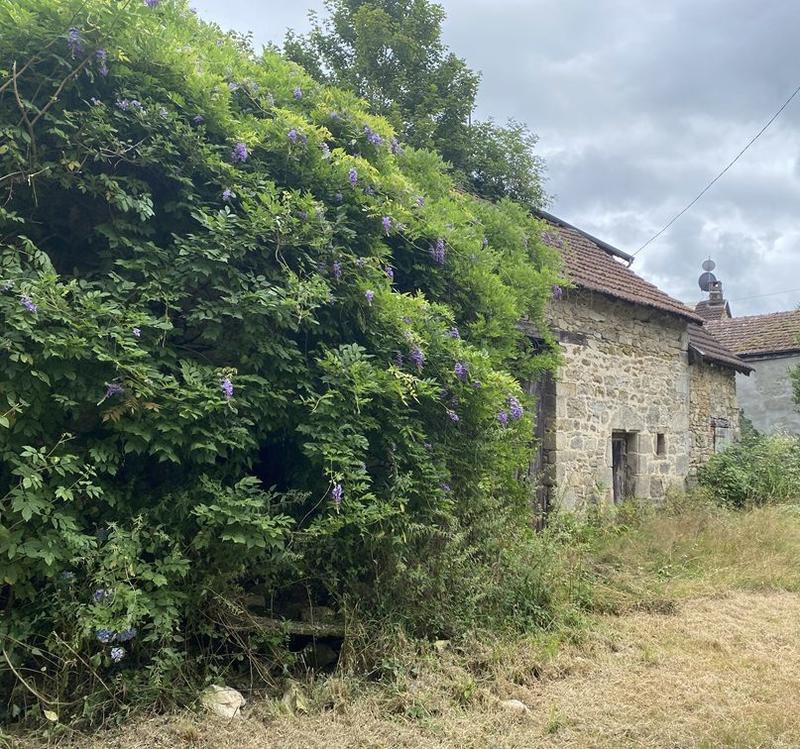 Maison ancienne - 90 m² - 5 pièces