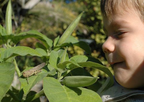 Jardin aux Plantes Parfumées