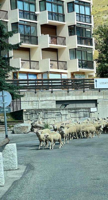 Appartement - 18 m² - 1 pièce