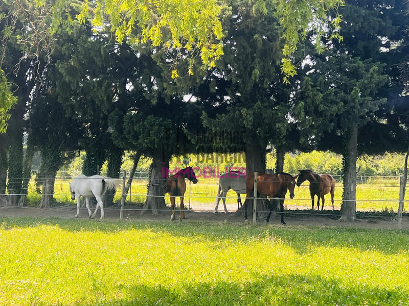 Maison - 243 m² - 8 pièces