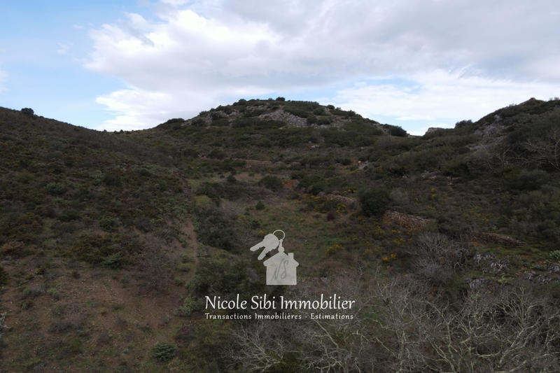 Terrain - 54 574 m²