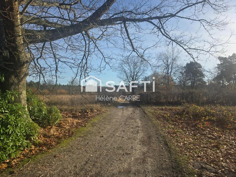 Maison - 237 m² - 11 pièces