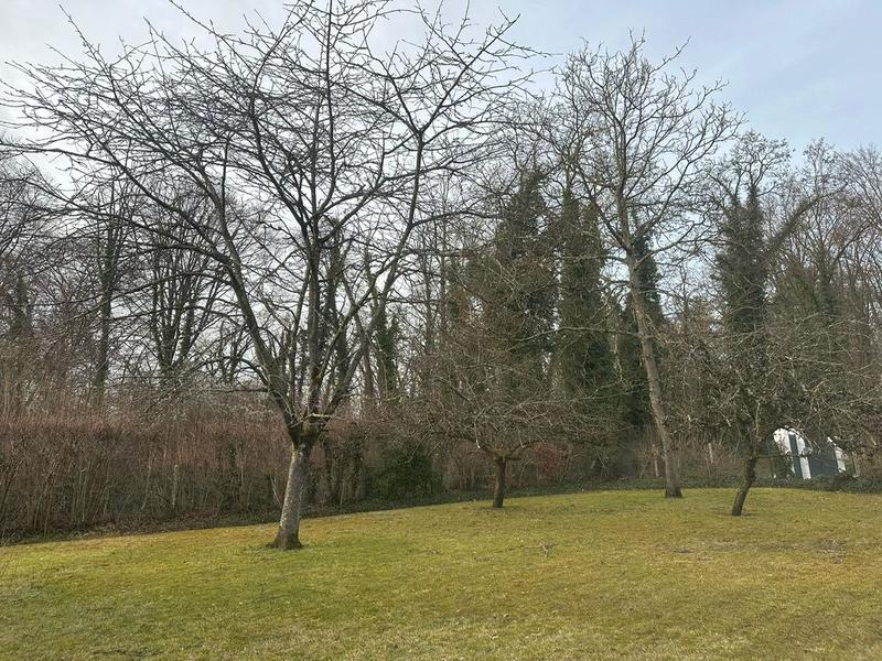 Maison d'architecte - 180 m² - 7 pièces