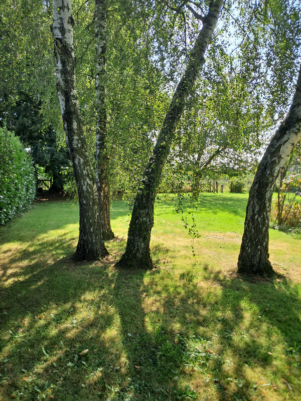 Maison - 139 m² - 6 pièces