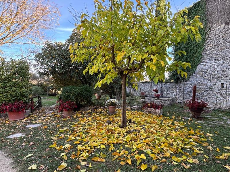 Maison - 144 m² - 5 pièces