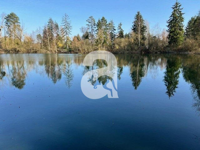 Terrain de loisirs - 12 673 m²