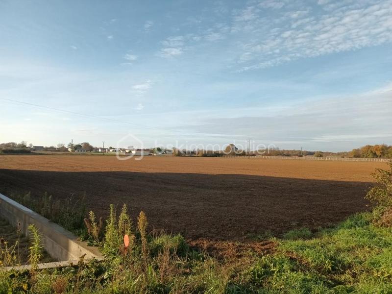 Terrain industriel - 9 653 m²