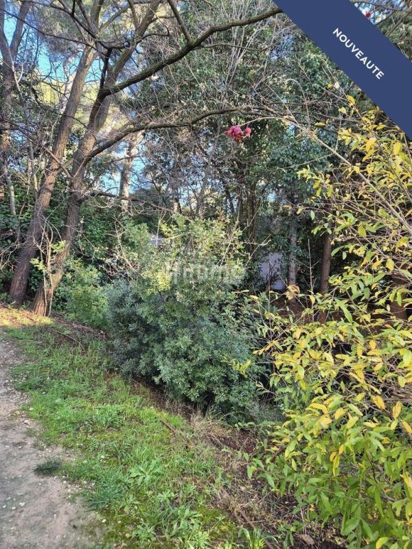 Appartement - 33 m² - 2 pièces