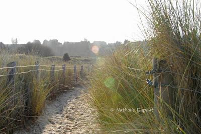 Penn'Ty Massages Bio et Ethiques