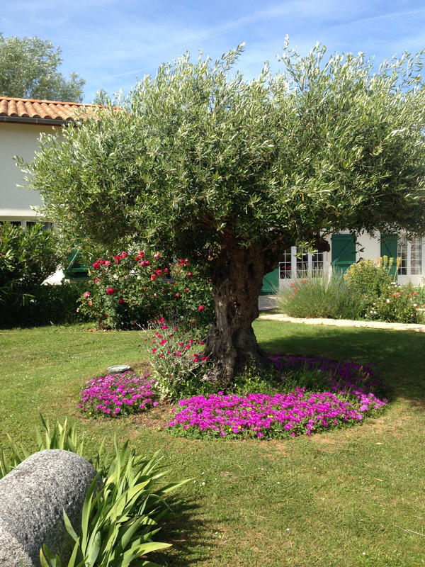 Maison - 240 m² - 10 pièces