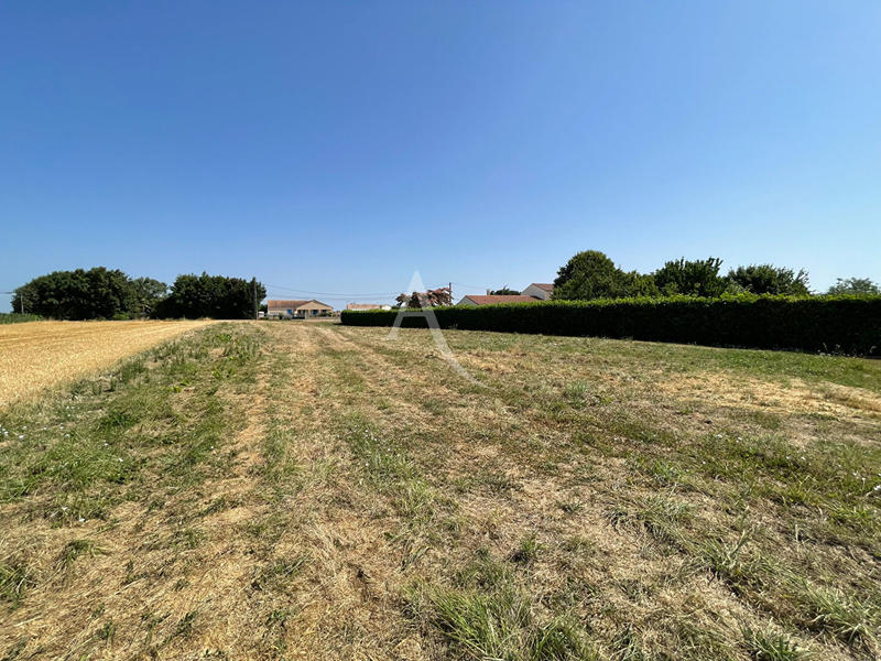 Terrain - 1 810 m²
