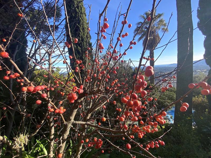 Maison - 322 m² - 10 pièces