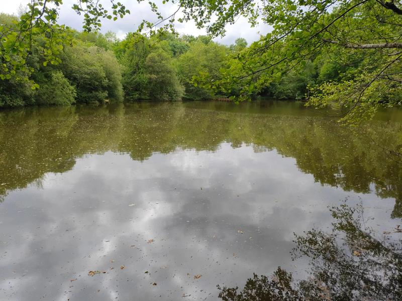 Terrain - 14 125 m²