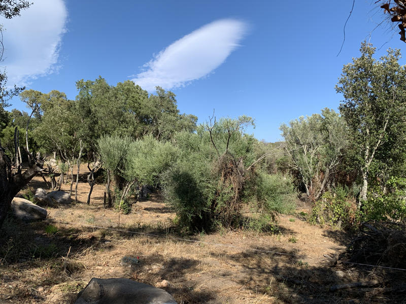 Villa - 102 m² - 4 pièces