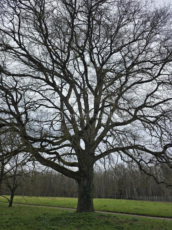 Château - 300 m² - 8 pièces