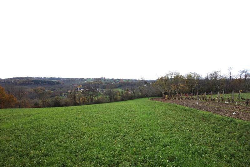Terrain - 13 556 m²