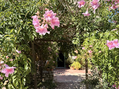 Maison - 203 m² - 6 pièces