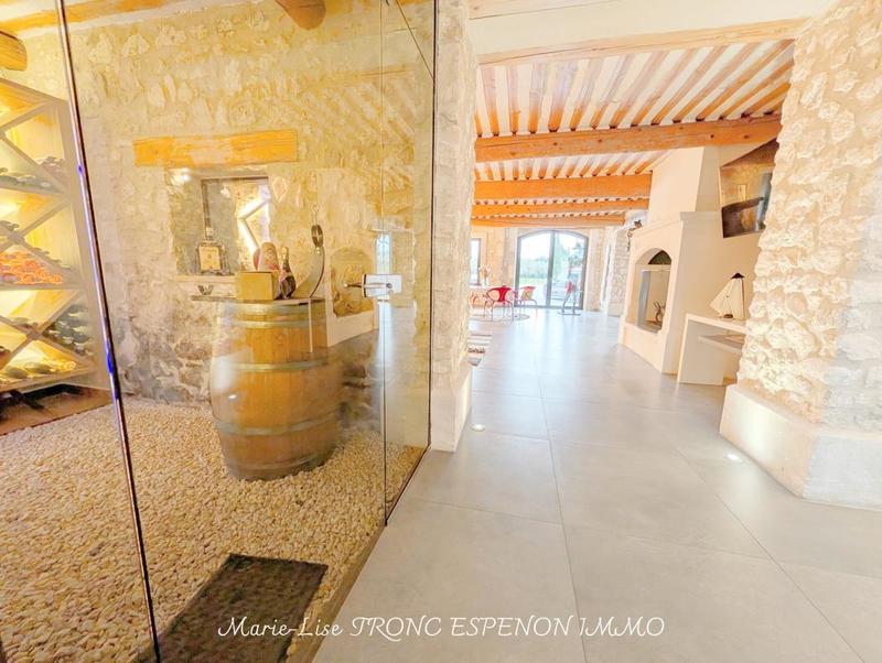 Mas - 471 m² - 15 pièces