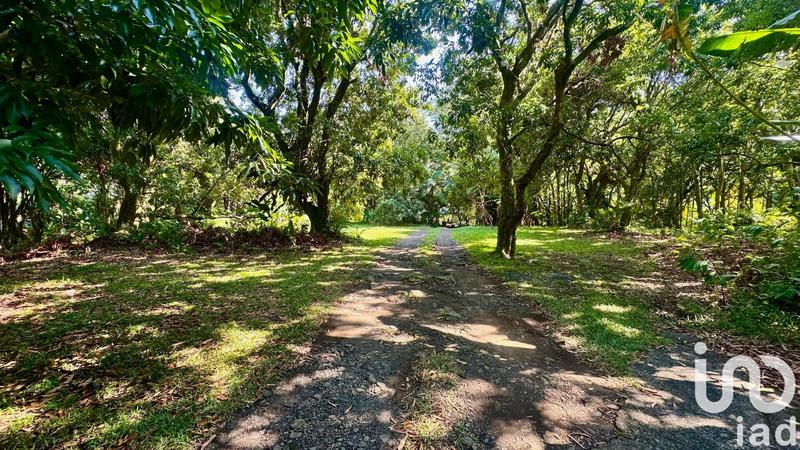 Maison - 650 m² - 12 pièces