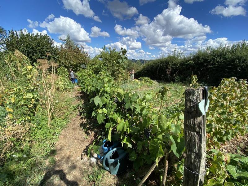 Maison - 205 m² - 7 pièces