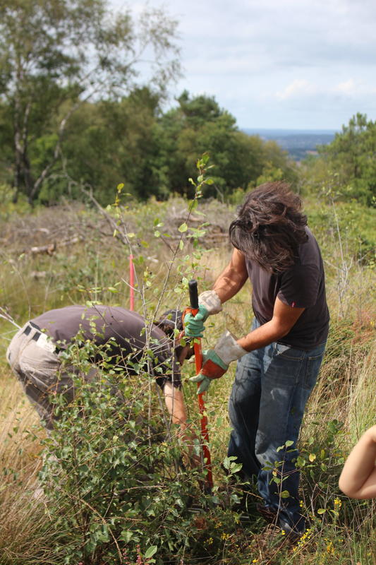 Chantier nature : nettoyage du chemin de la butte des pelouses