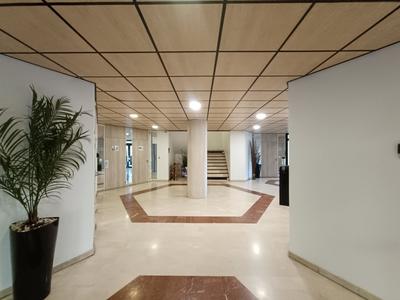 Bureau - 158 m²