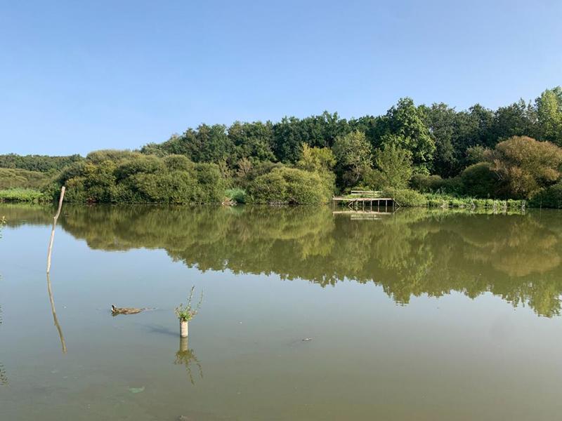 Maison - 30 m² - 2 pièces