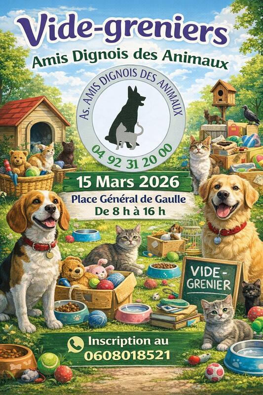 Vide-greniers