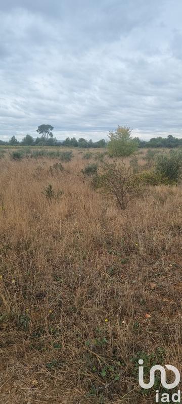 Terrain agricole - 15 398 m²