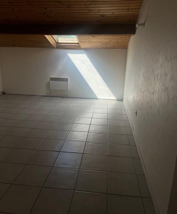 Appartement - 55 m² - 2 pièces