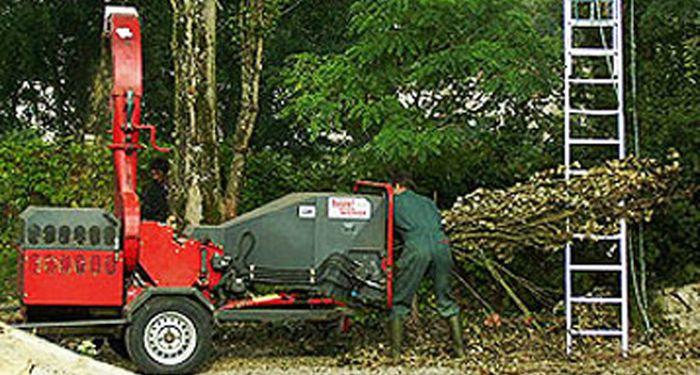 Elagages,entretien des espaces verts à Cahors