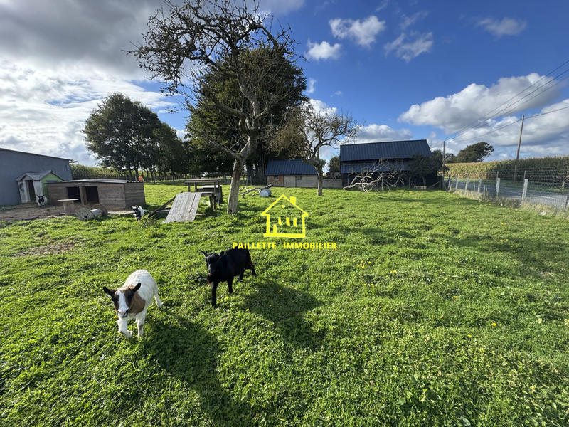 Maison - 138 m² - 4 pièces