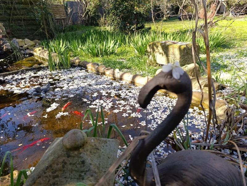 Mas - 342 m² - 15 pièces