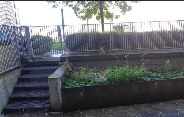 Studio - 32 m² - 1 pièce